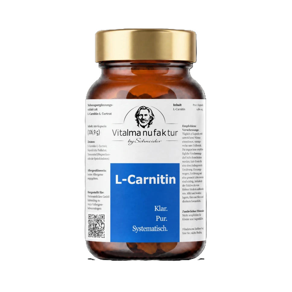 L-Carnitin – Dein hochdosiertes L-Carnitin für die tägliche Ergänzung